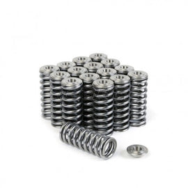 SKUNK2 ALPHA VALVE SPRING AND TITANIUM RETAINER KIT HONDA D-SERIES SOHC VTEC - em-power.it