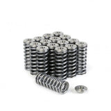 SKUNK2 ALPHA VALVE SPRING AND TITANIUM RETAINER KIT HONDA D-SERIES SOHC VTEC - em-power.it
