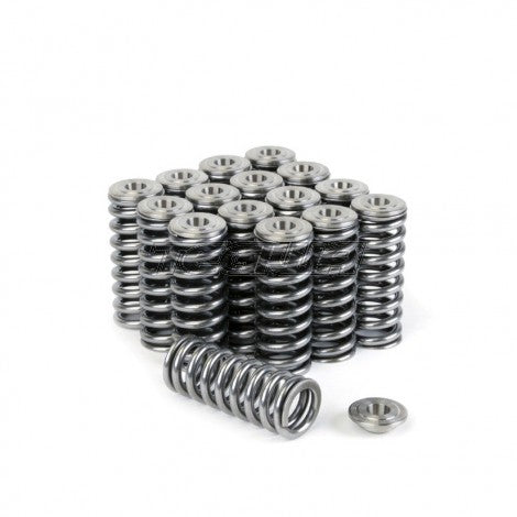 SKUNK2 ALPHA VALVE SPRING AND TITANIUM RETAINER KIT HONDA D-SERIES SOHC VTEC - em-power.it