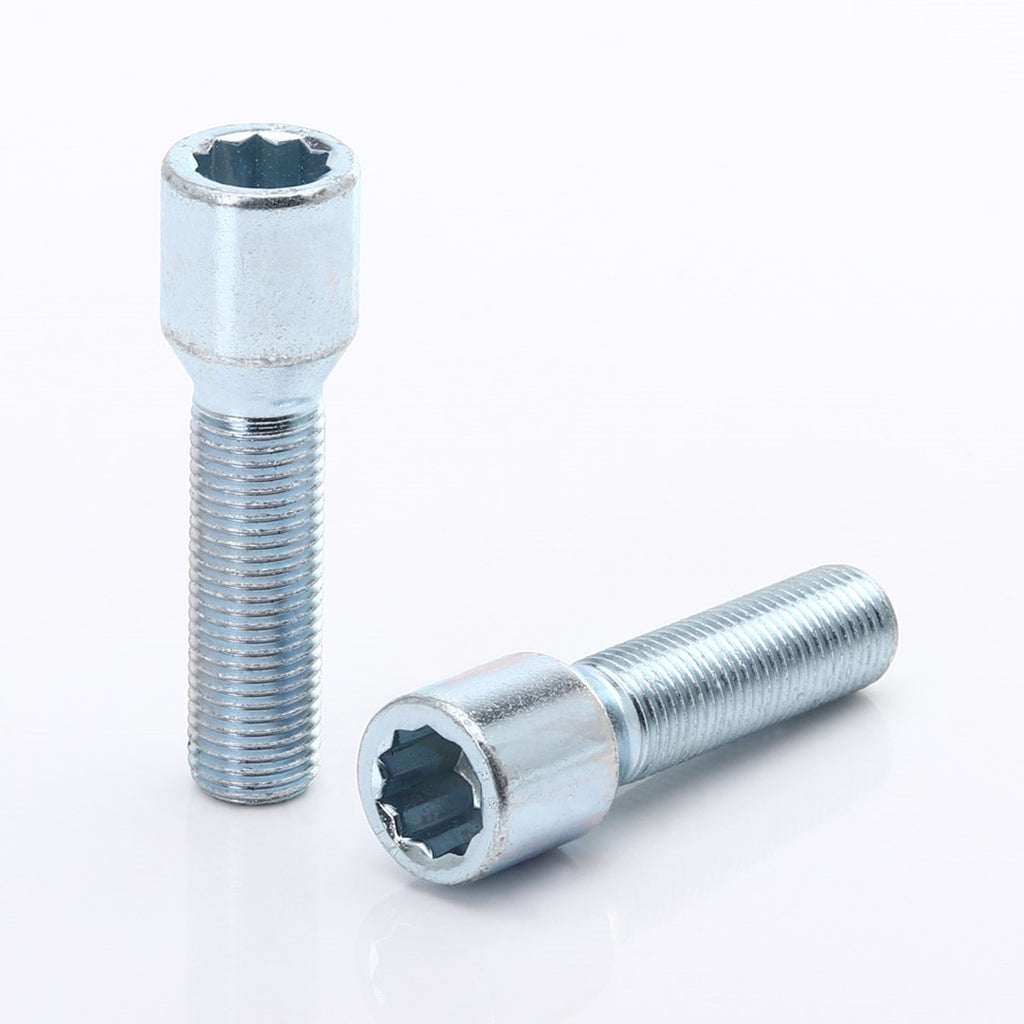 20 Bulloni Ruota Conici M12x1.25 - Lunghezza 30mm, Chiave Esagono 17, Argento