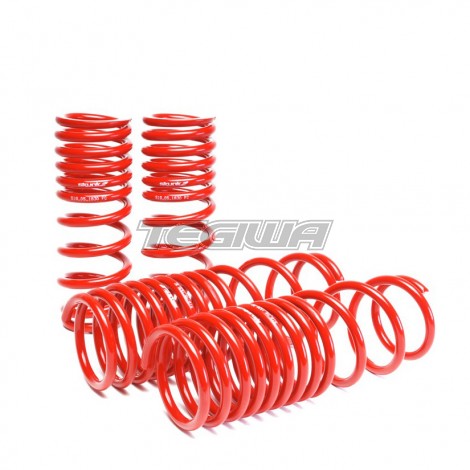 SKUNK2 MOLLE ASSETTO RIBASSATE 90-97 HONDA ACCORD - em-power.it