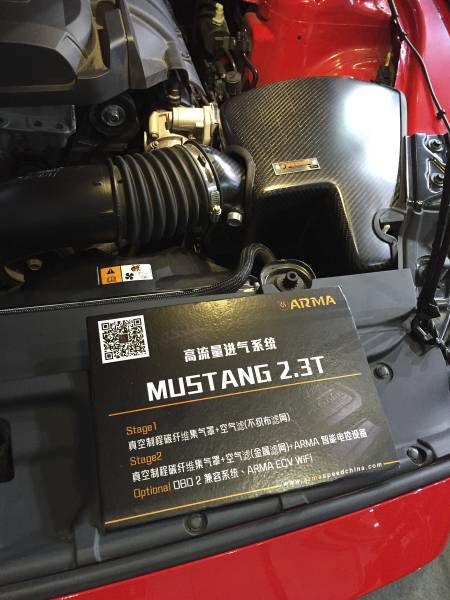 Armaspeed Kit Aspirazione Aria in CARBONIO FORD MUSTANG ECOBOOST MK6