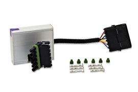 Modulo DBW (acceleratore elettronico)