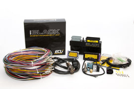 EcuMaster EMU Black kit 4
