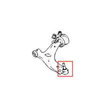 Load image into Gallery viewer, Hardrace LOWER BALL JOINT Anteriore (OE STYLE) 2 Pezzi/SET - Ford Focus MK2