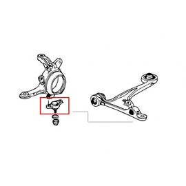 Hardrace ROLL CENTRE ADJUSTER Anteriore FORGED BODY 2 Pezzi/SE - HONDA S2000 AP1 AP2