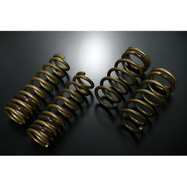 Molle Tein S-Tech per Lexus IS250 / IS350 / IS200T